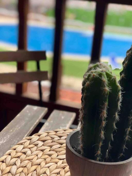 Coqueto Apartamento En Arona El Palm-Mar. Экстерьер фото